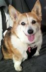 2015-01-gwinnie_resized