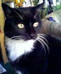 2015-01-sylvie