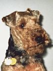 2015-01-tucker_cropped