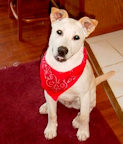 2015_12_rudy_144