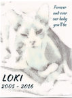 2016-06_loki_144
