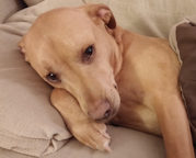 2016_03_08_zen_sweetgirl