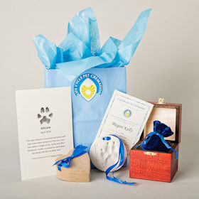 ACP_280sq Radiant Heart After-Care Package