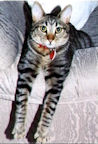 albertlegs_resized