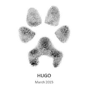 hugo_paw_ink_print_for_web