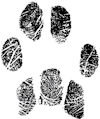 100_howard_patches_paw