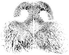 100_langley_chip_nose