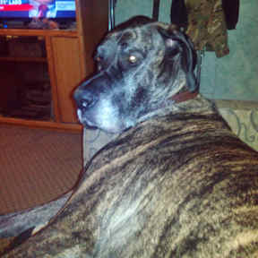 2017-02-Seeka