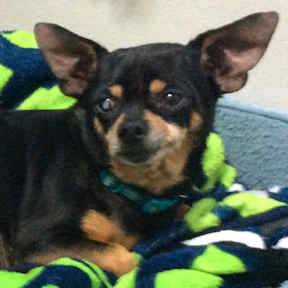 2017-03-chico