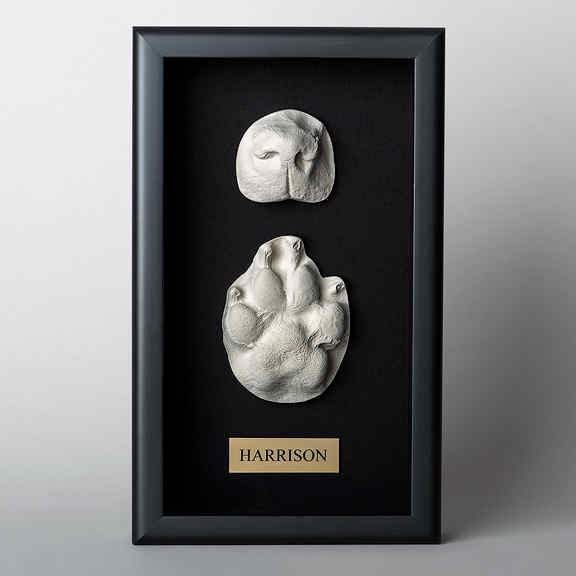 Nose Paw Casting With Shadow Box Radiant Heart After Care For Pets