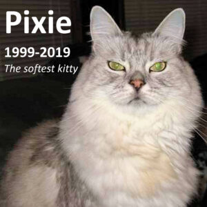 kopis_pixie_photo_plate_1.jpg